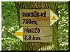 DSCF0100.JPG