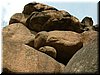 DSCF0101.JPG