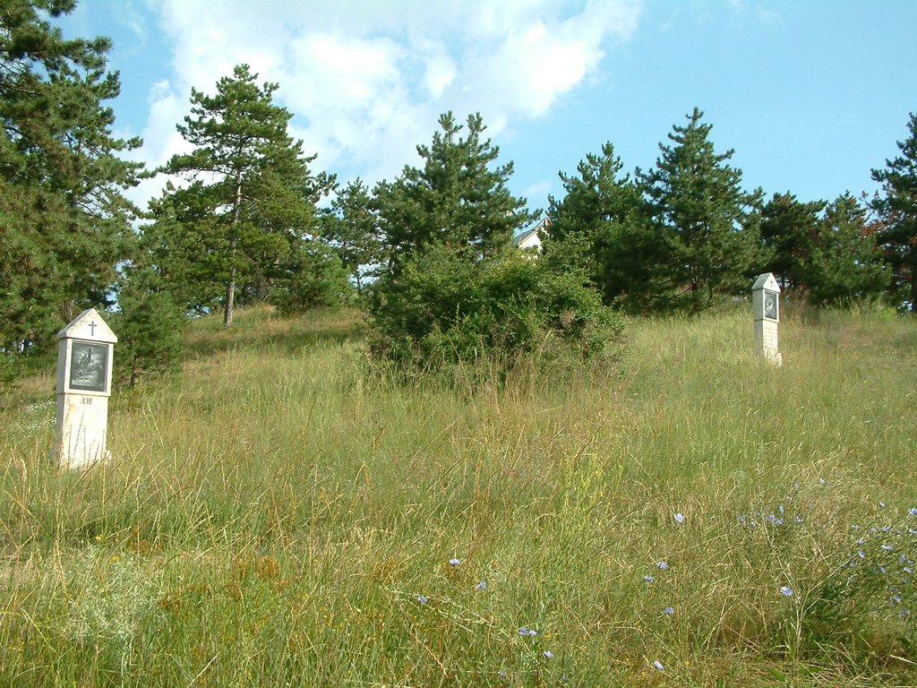 DSCF0096.JPG