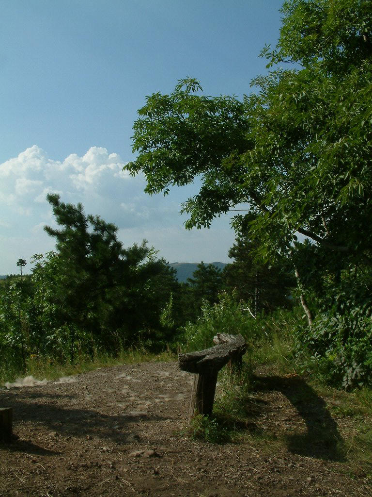 DSCF0107.JPG