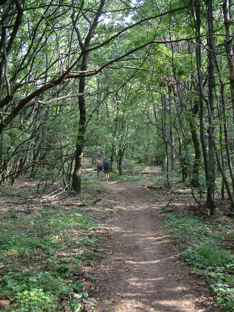 DSCF0108.JPG