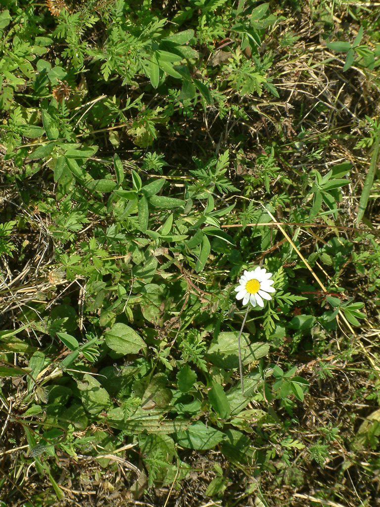 DSCF0109.JPG