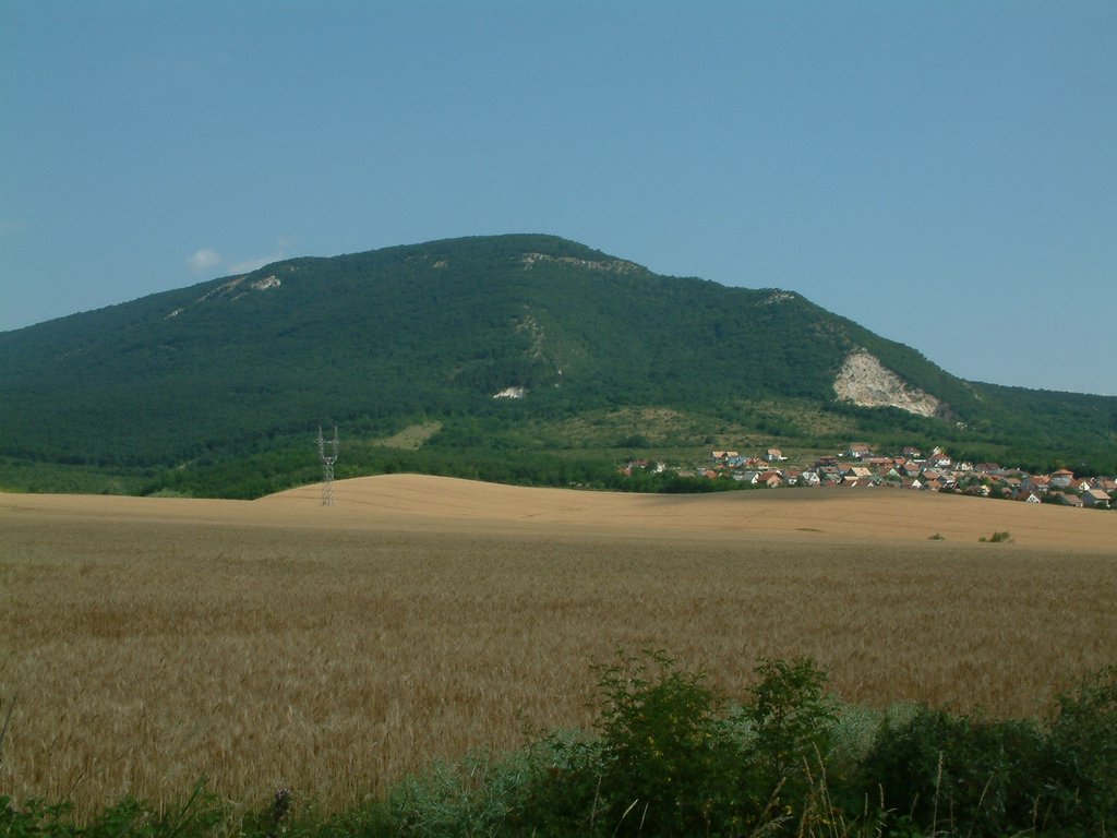 DSCF0110.JPG