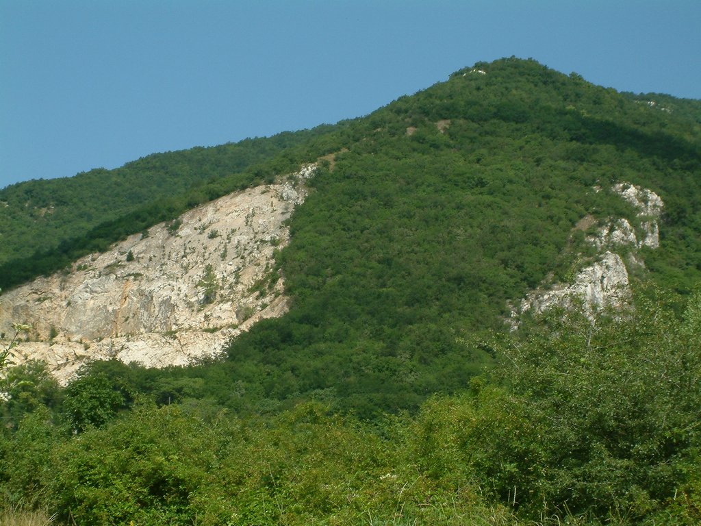 DSCF0112.JPG