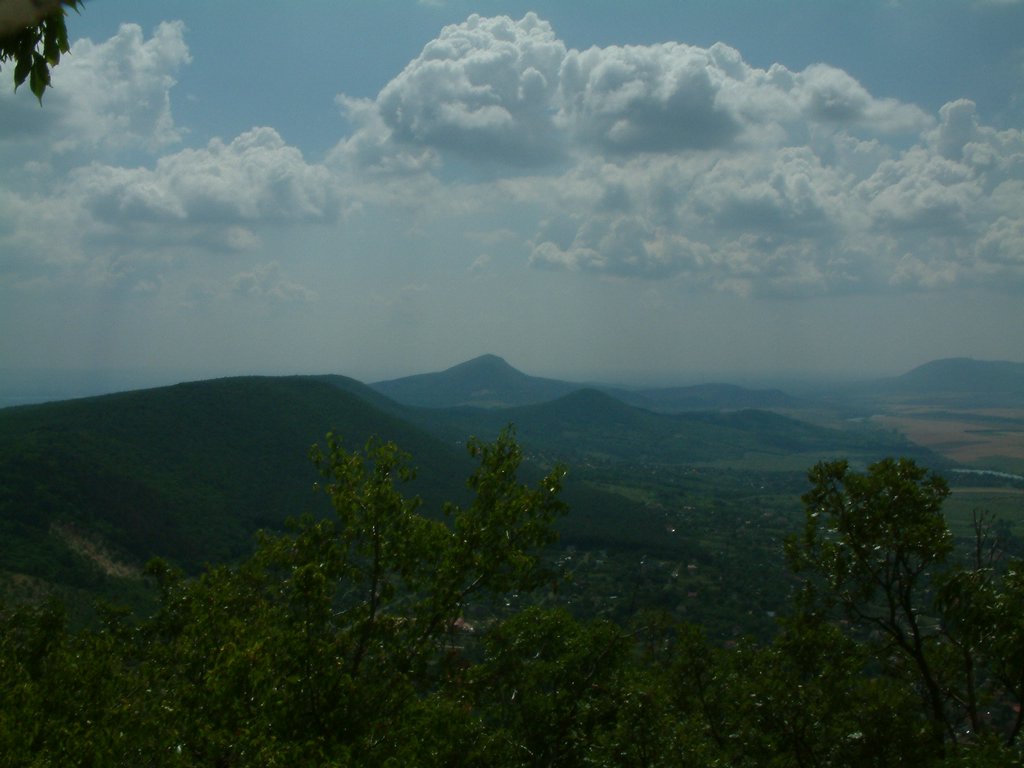 DSCF0113.JPG