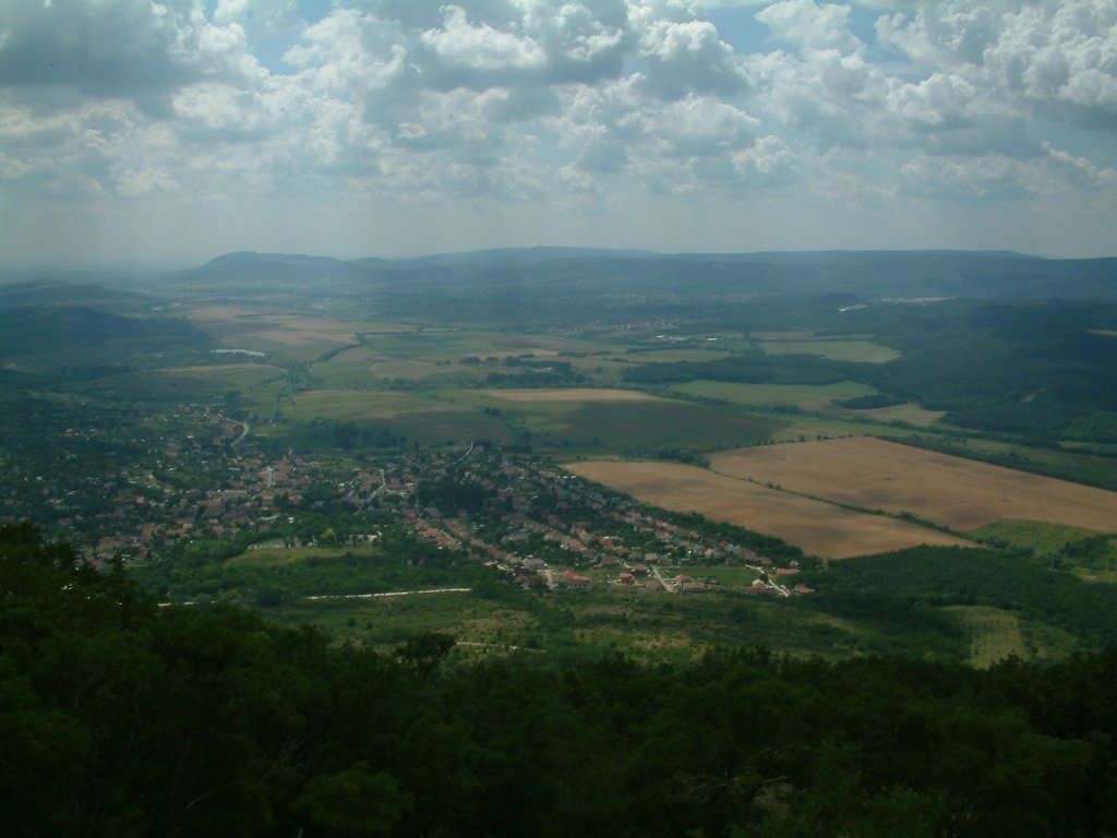 DSCF0115.JPG