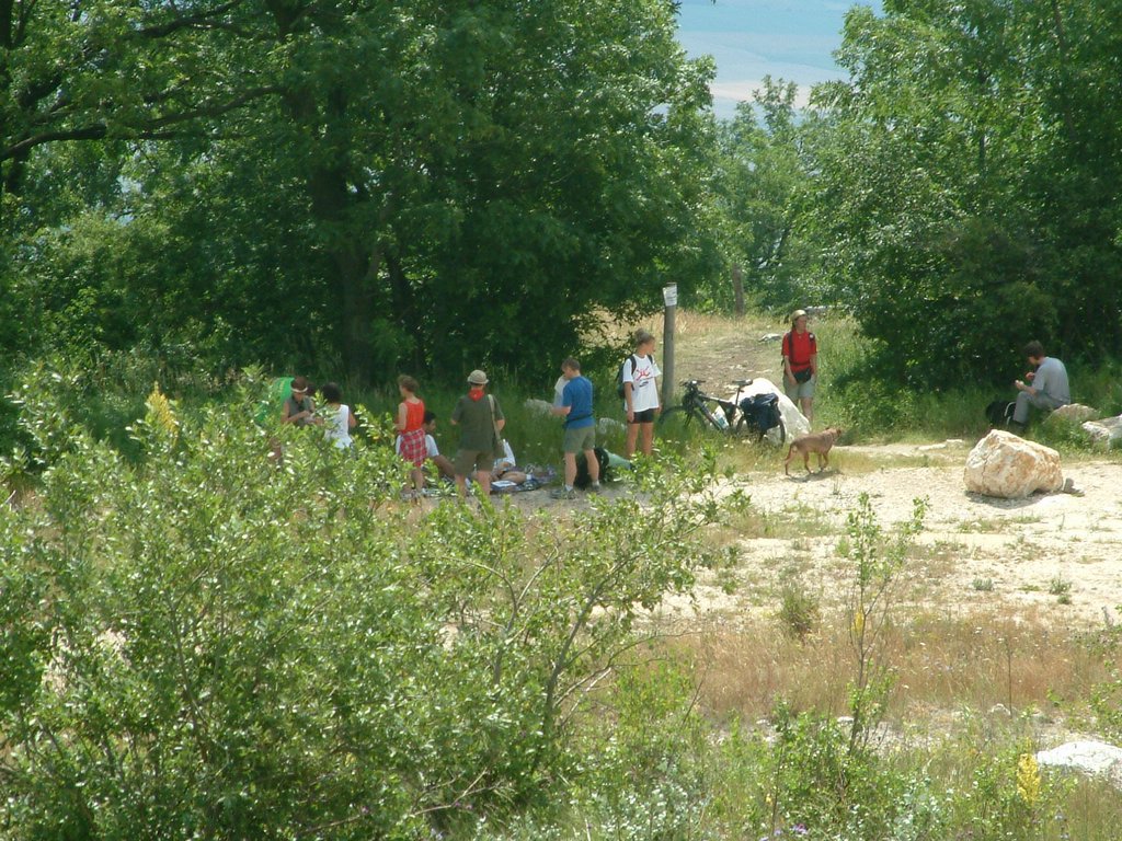DSCF0118.JPG