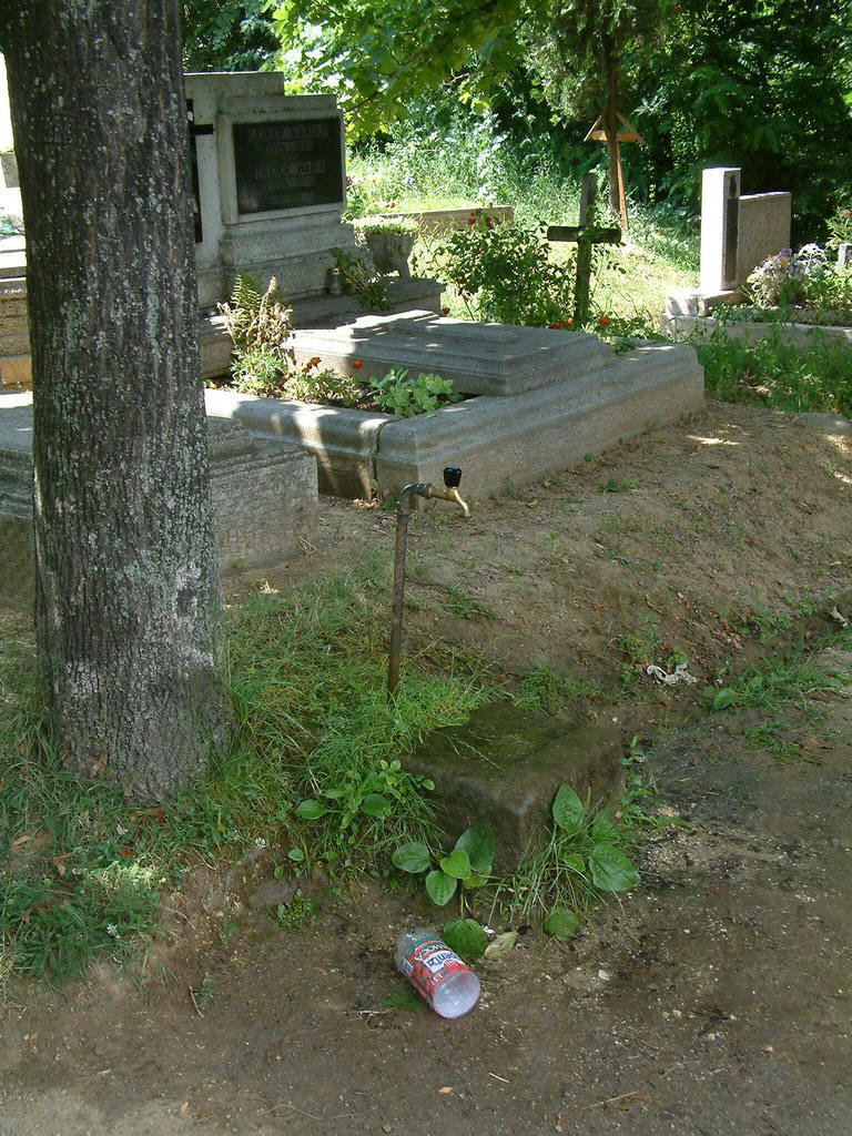 DSCF0124.JPG