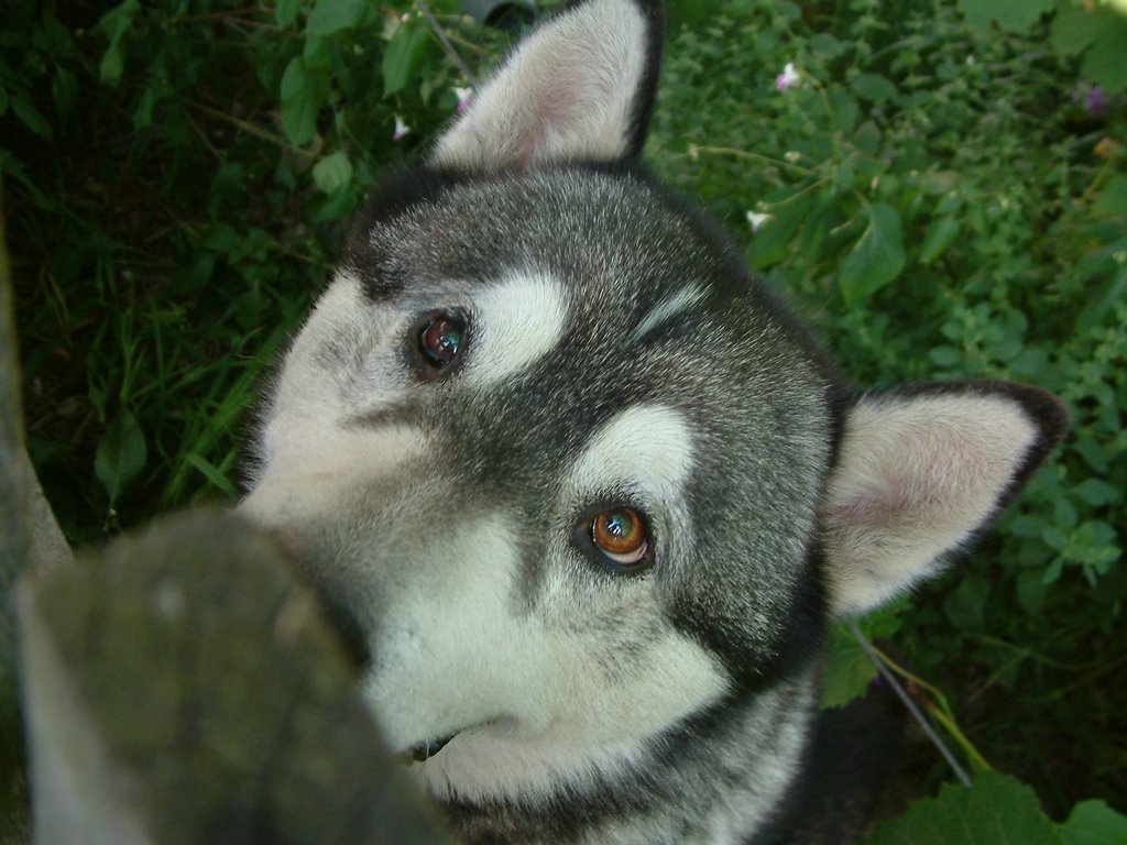 DSCF0127.JPG