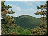 DSCF0097.JPG