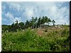 DSCF0098.JPG