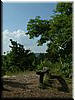 DSCF0107.JPG