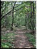 DSCF0108.JPG