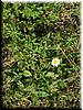 DSCF0109.JPG