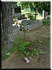 DSCF0124.JPG