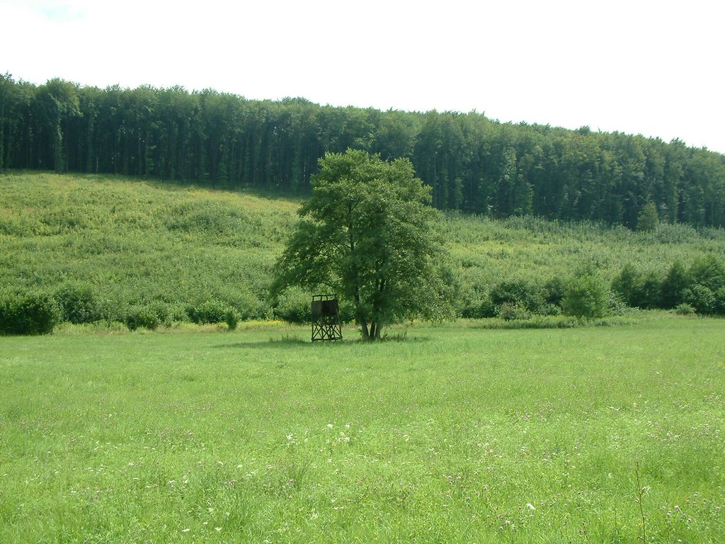 DSCF0007.JPG