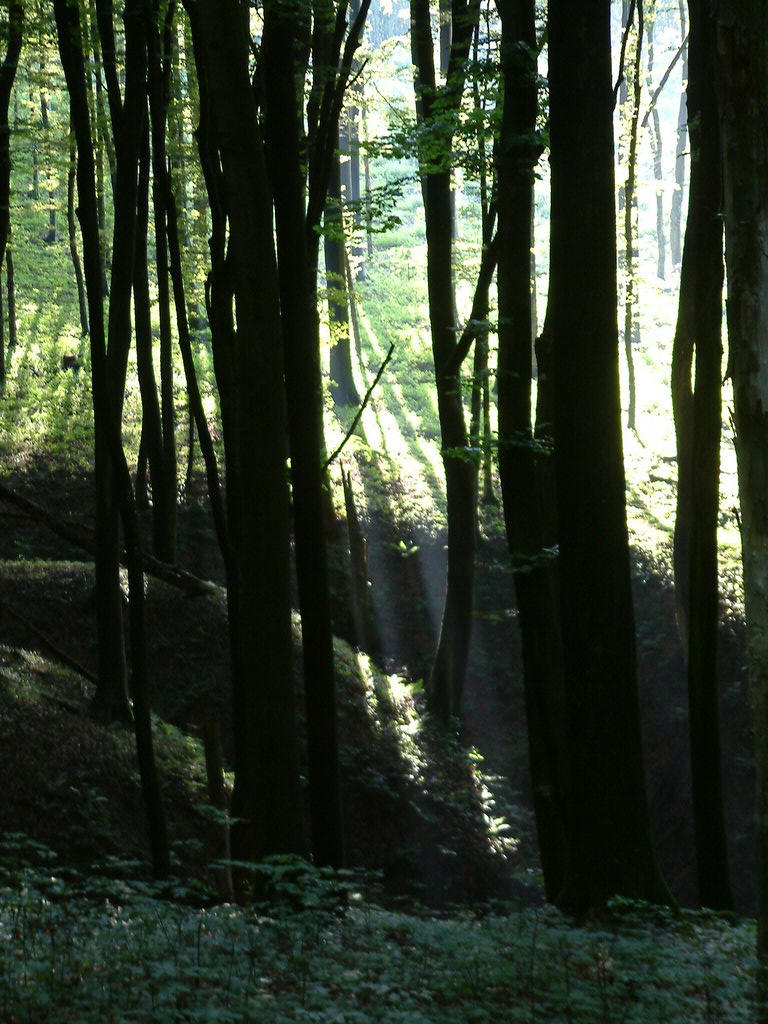 DSCF0023.JPG