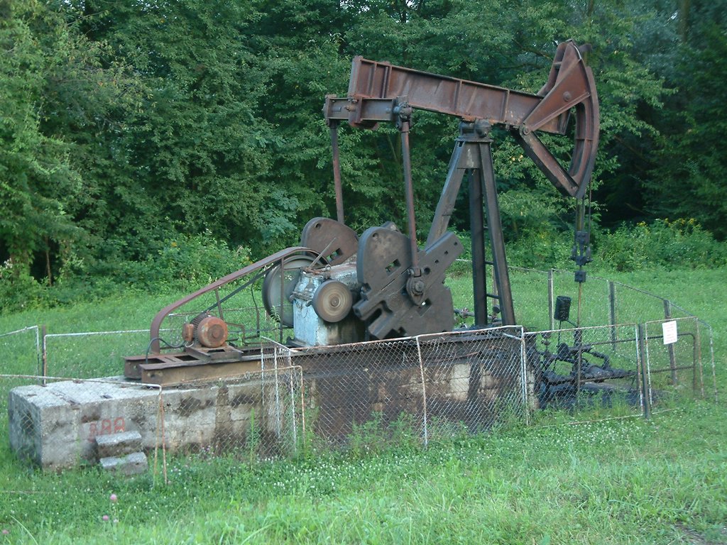 DSCF0027.JPG