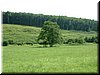 DSCF0007.JPG