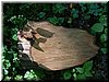 DSCF0014.JPG