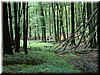 DSCF0017.JPG