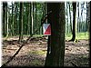 DSCF0018.JPG