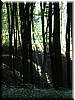 DSCF0023.JPG