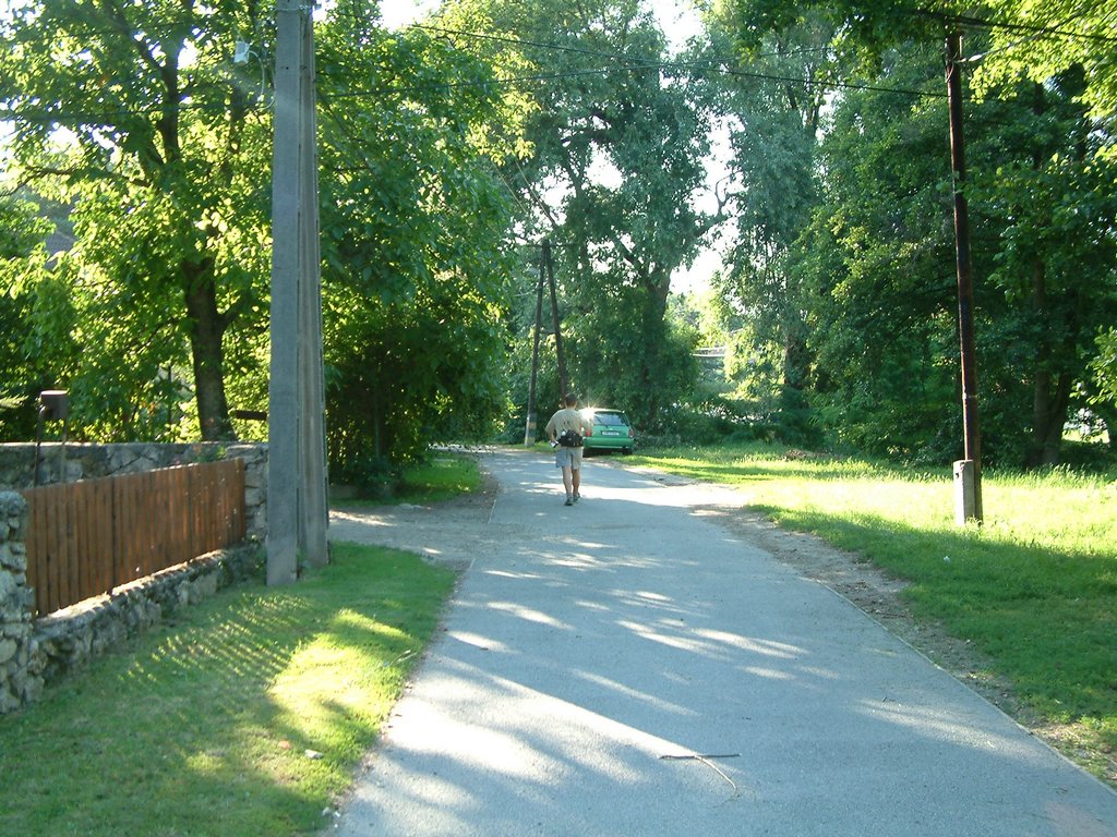 DSCF0157.JPG