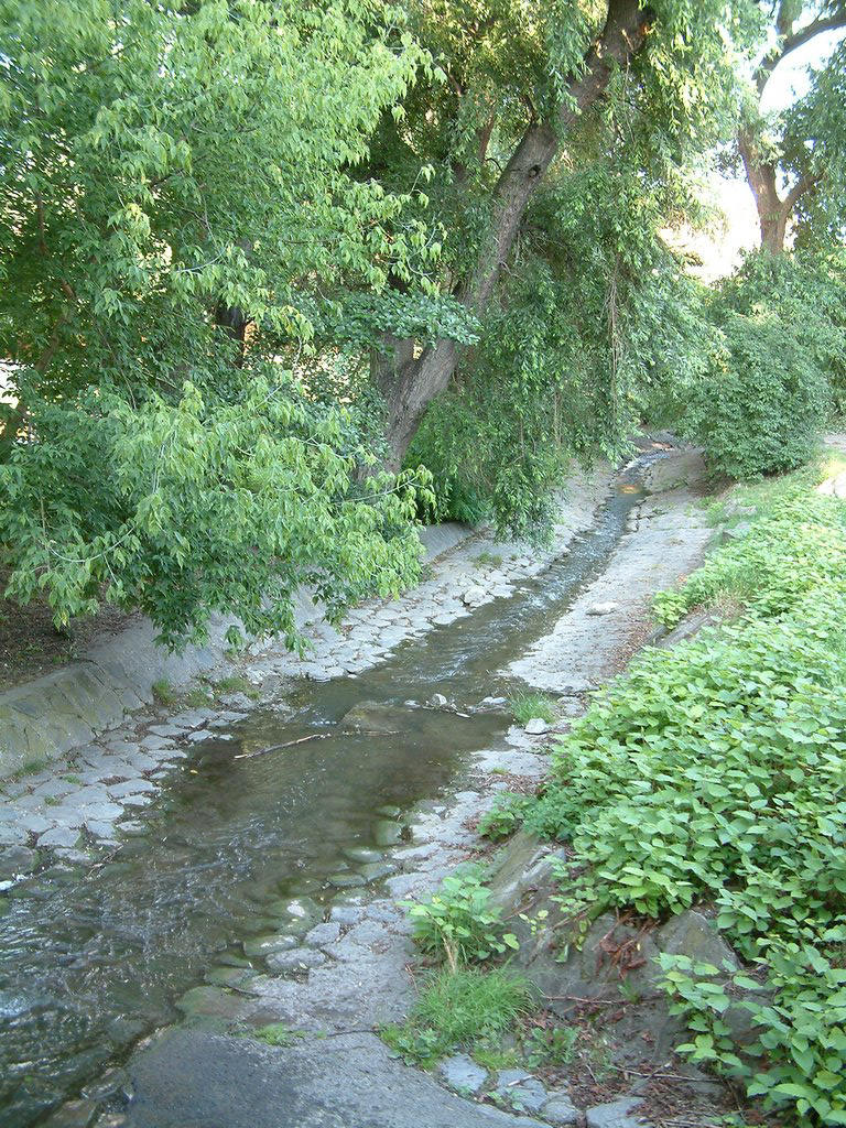 DSCF0158.JPG
