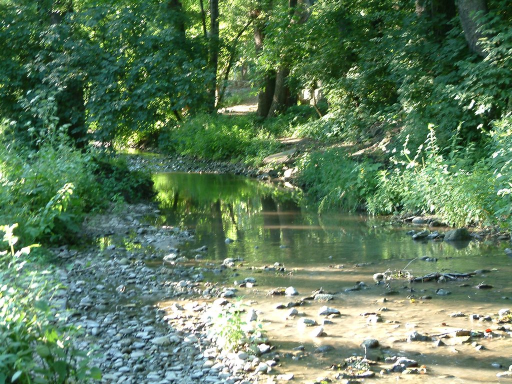 DSCF0159.JPG