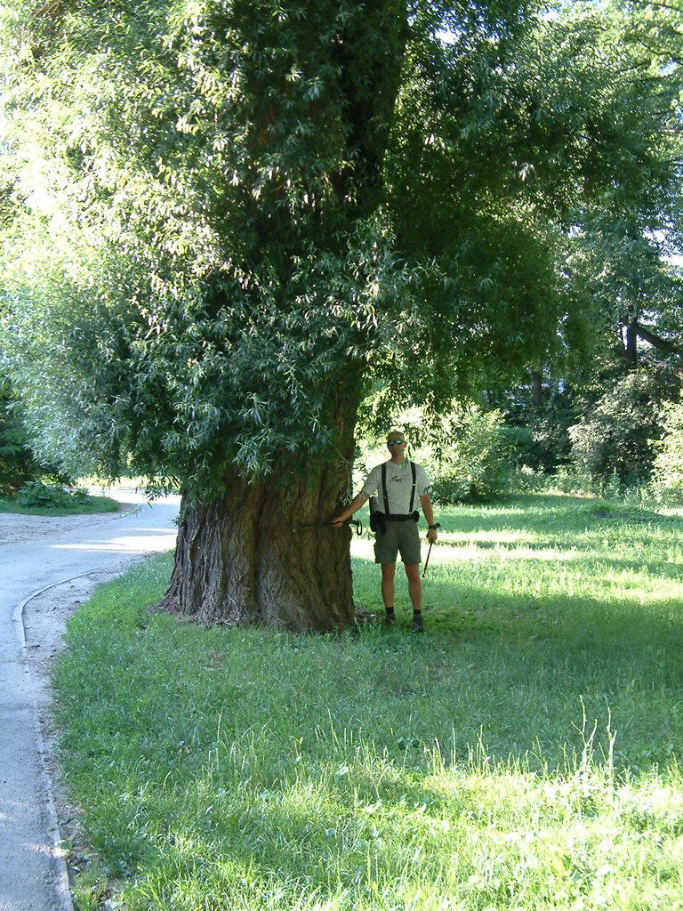 DSCF0160.JPG