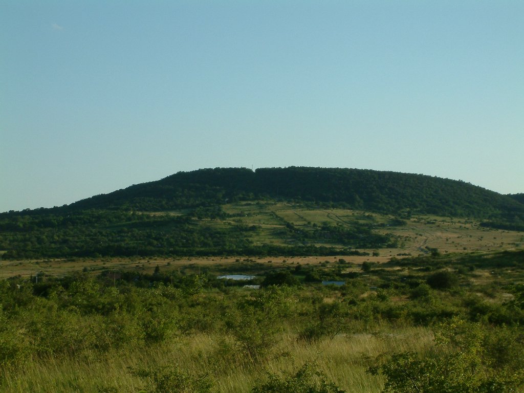 DSCF0166.JPG