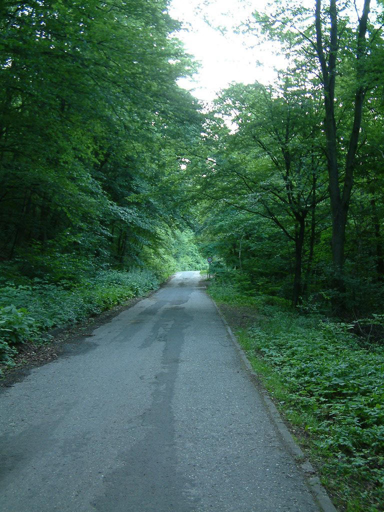DSCF0168.JPG