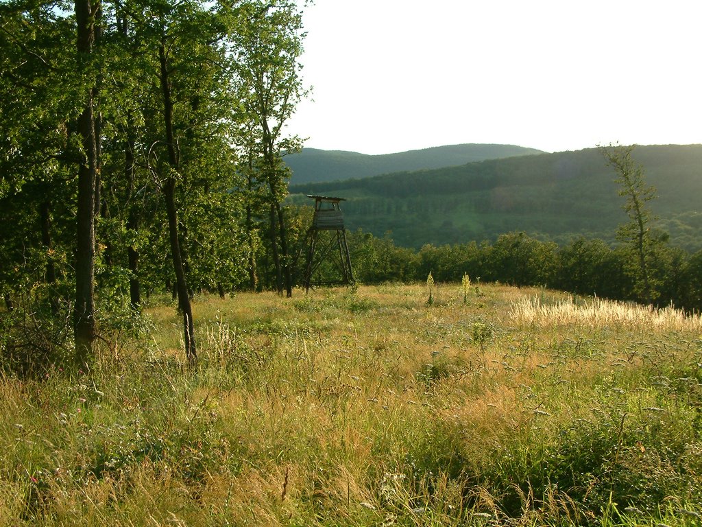 DSCF0170.JPG