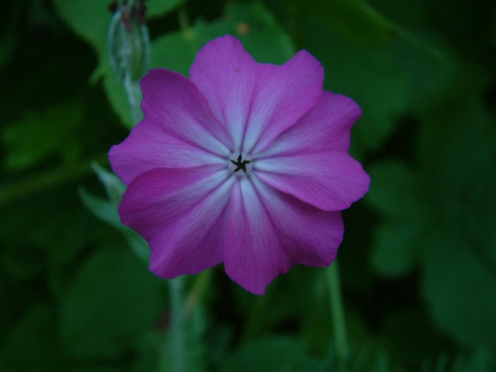 DSCF0172.JPG