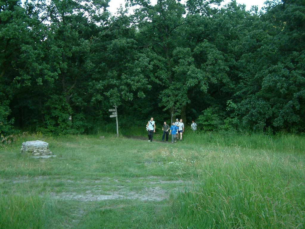 DSCF0173.JPG