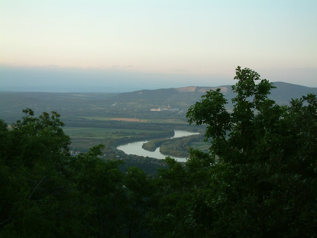 DSCF0176.JPG