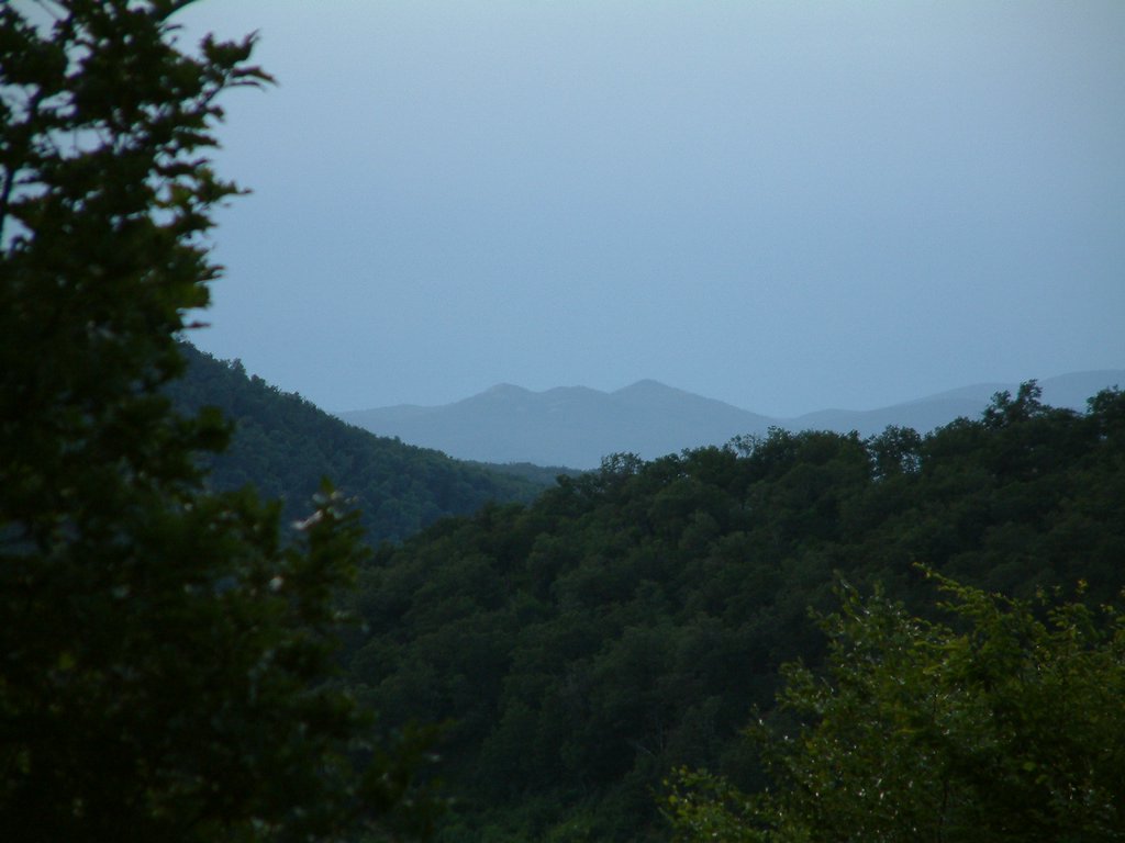DSCF0187.JPG