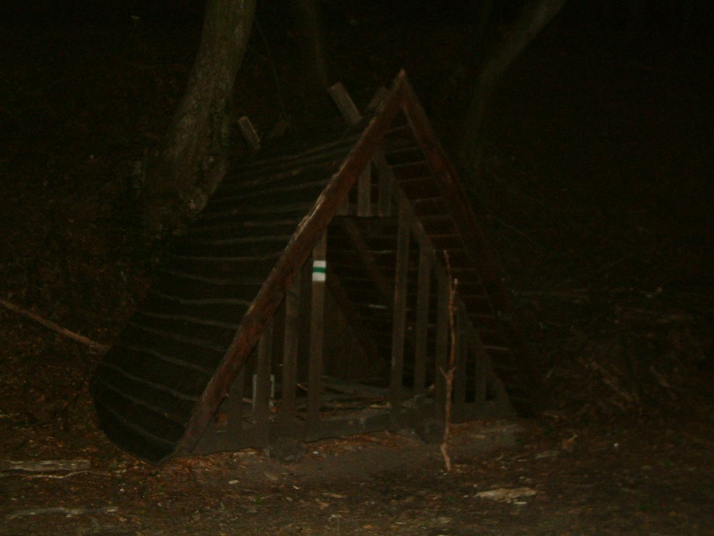 DSCF0196.JPG