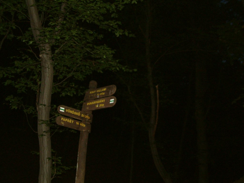 DSCF0197.JPG