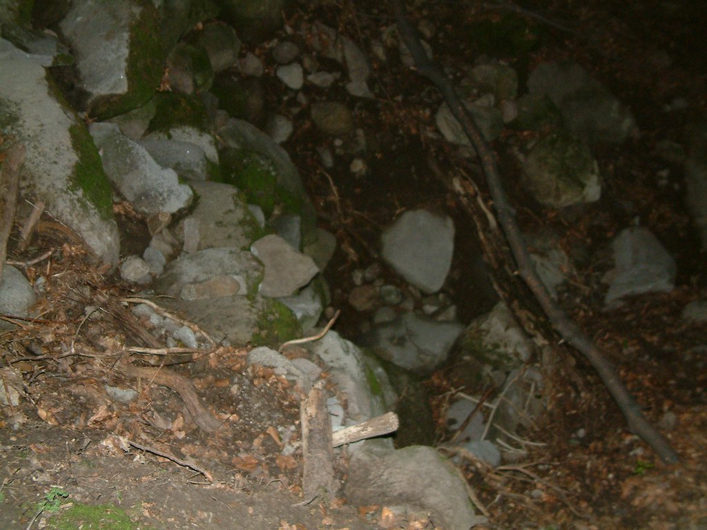 DSCF0200.JPG