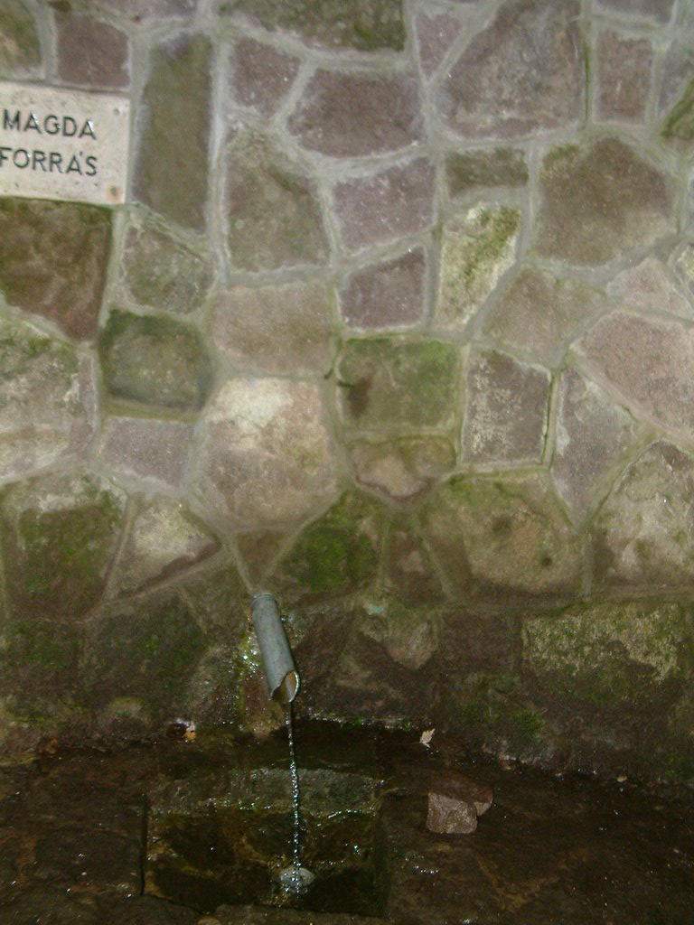 DSCF0211.JPG
