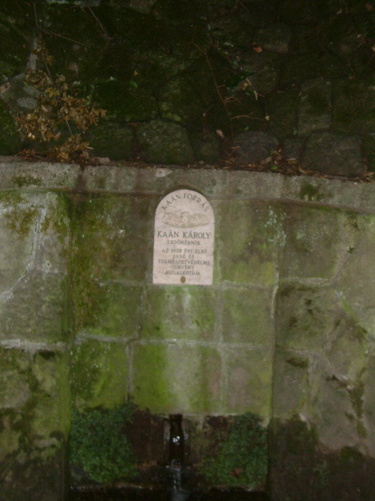 DSCF0212.JPG