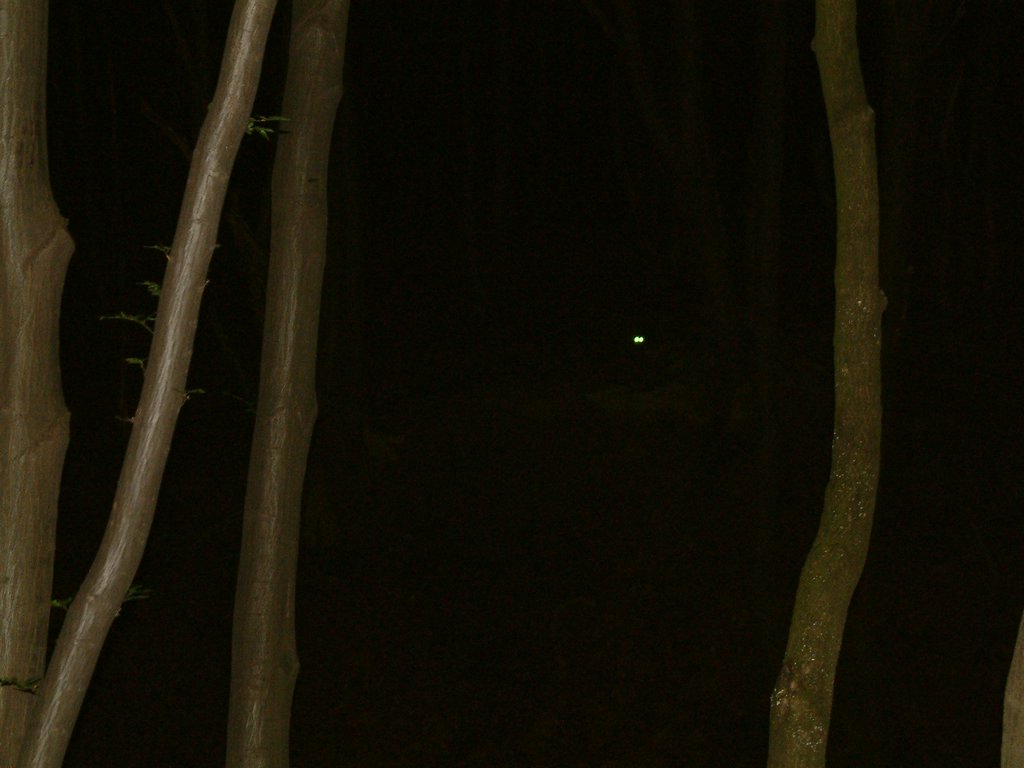 DSCF0216.JPG