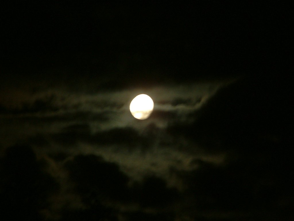 DSCF0218.JPG