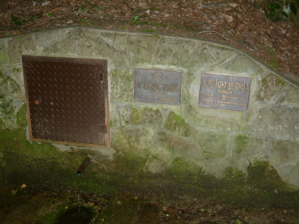 DSCF0221.JPG