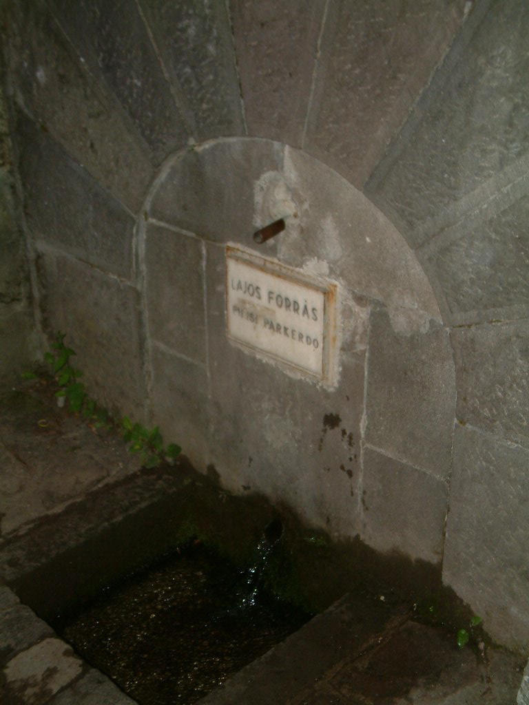 DSCF0223.JPG