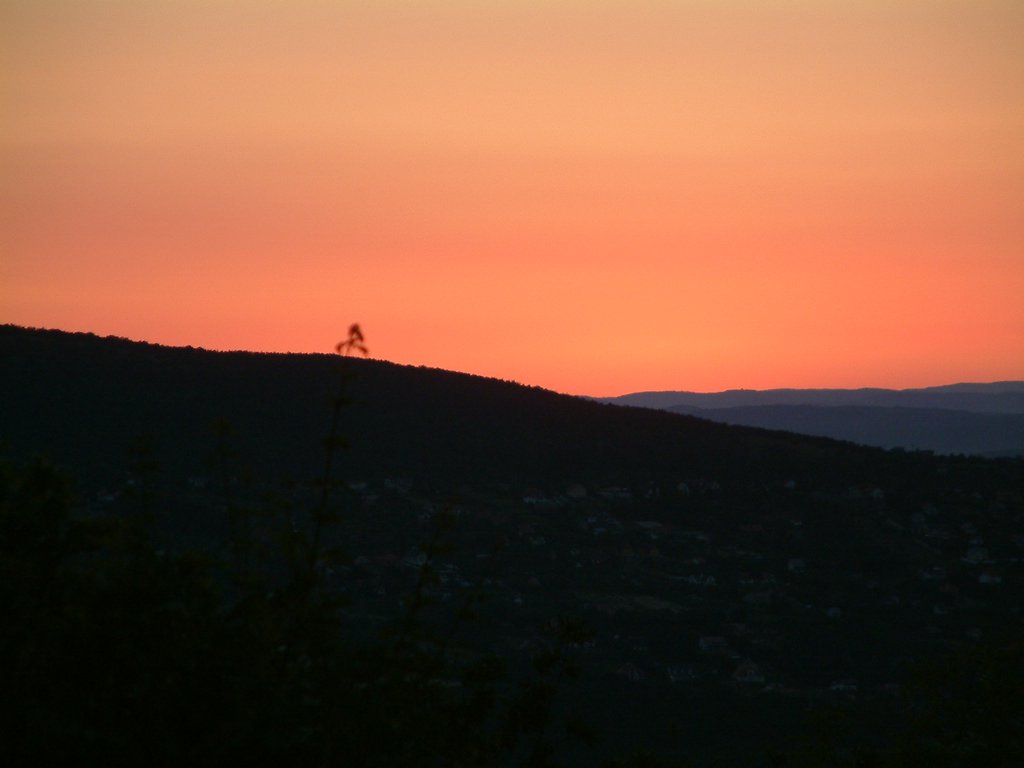 DSCF0225.JPG