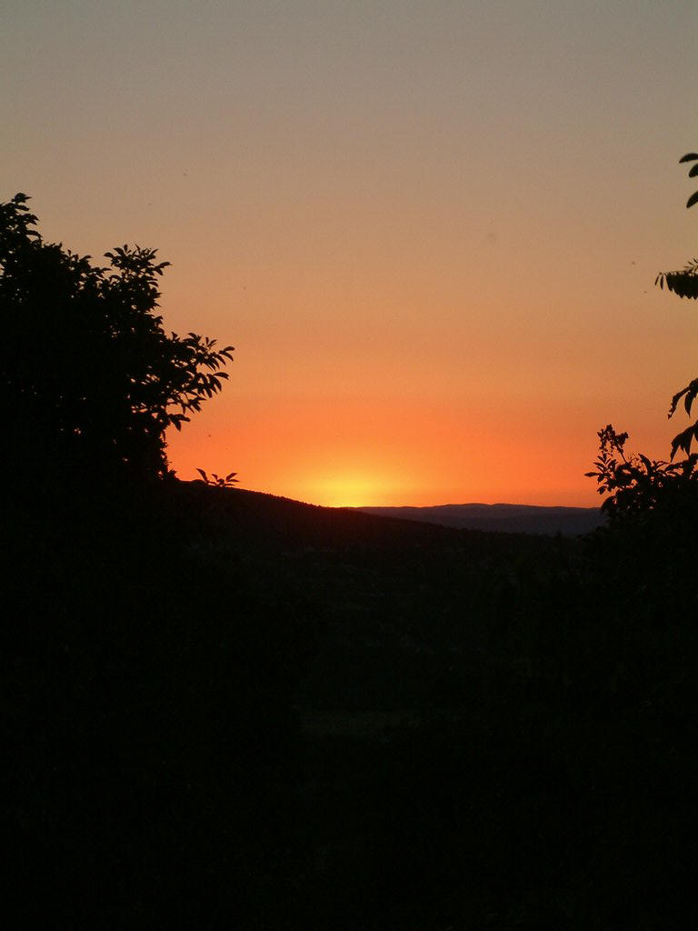 DSCF0227.JPG