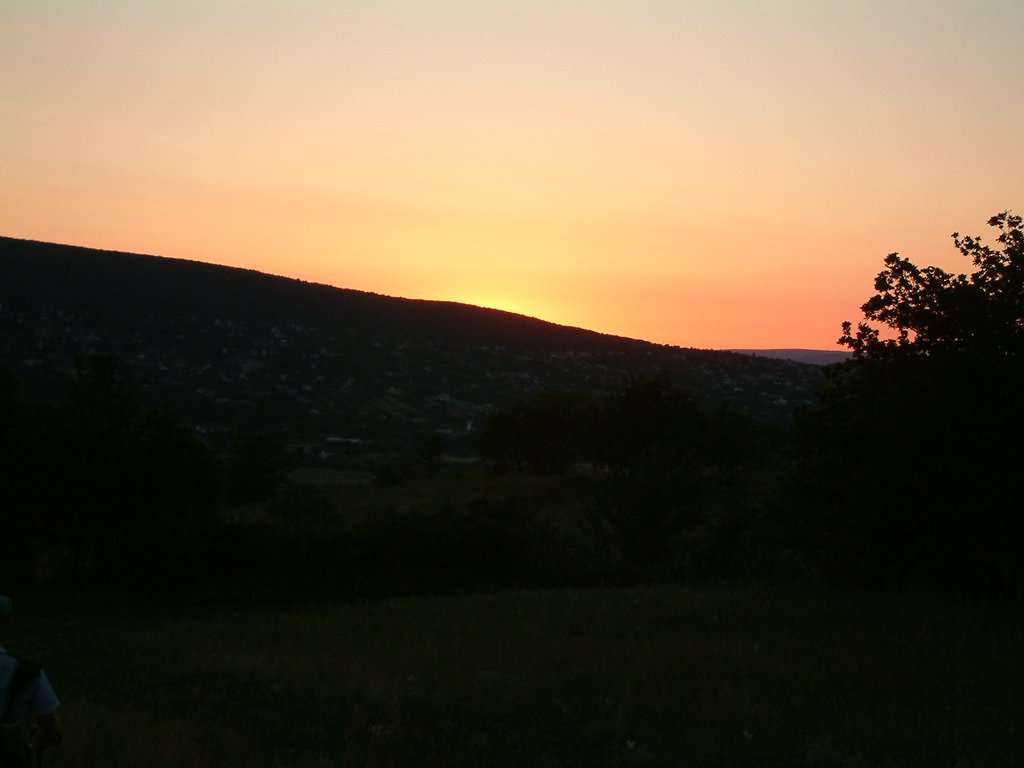 DSCF0228.JPG